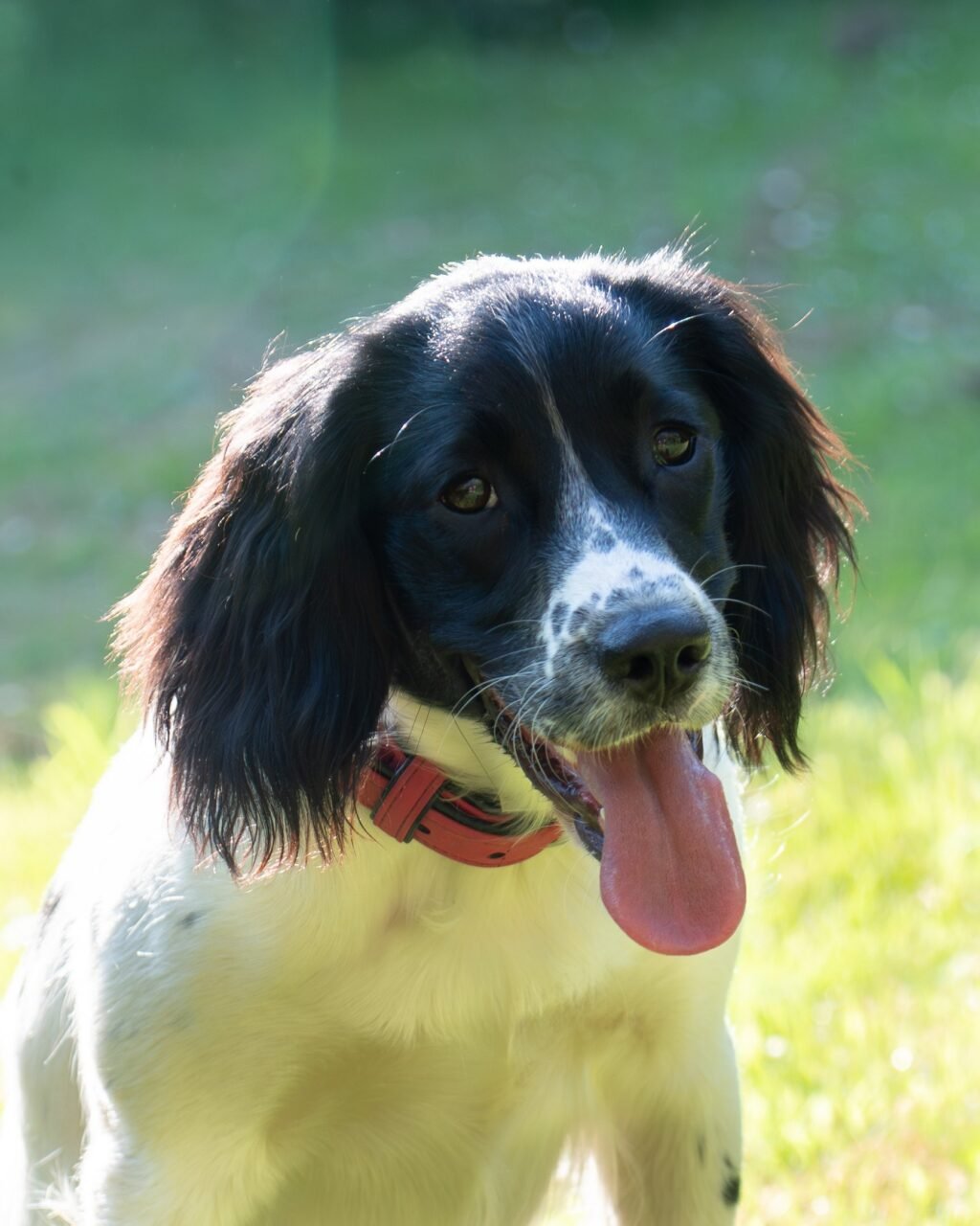 Ruby