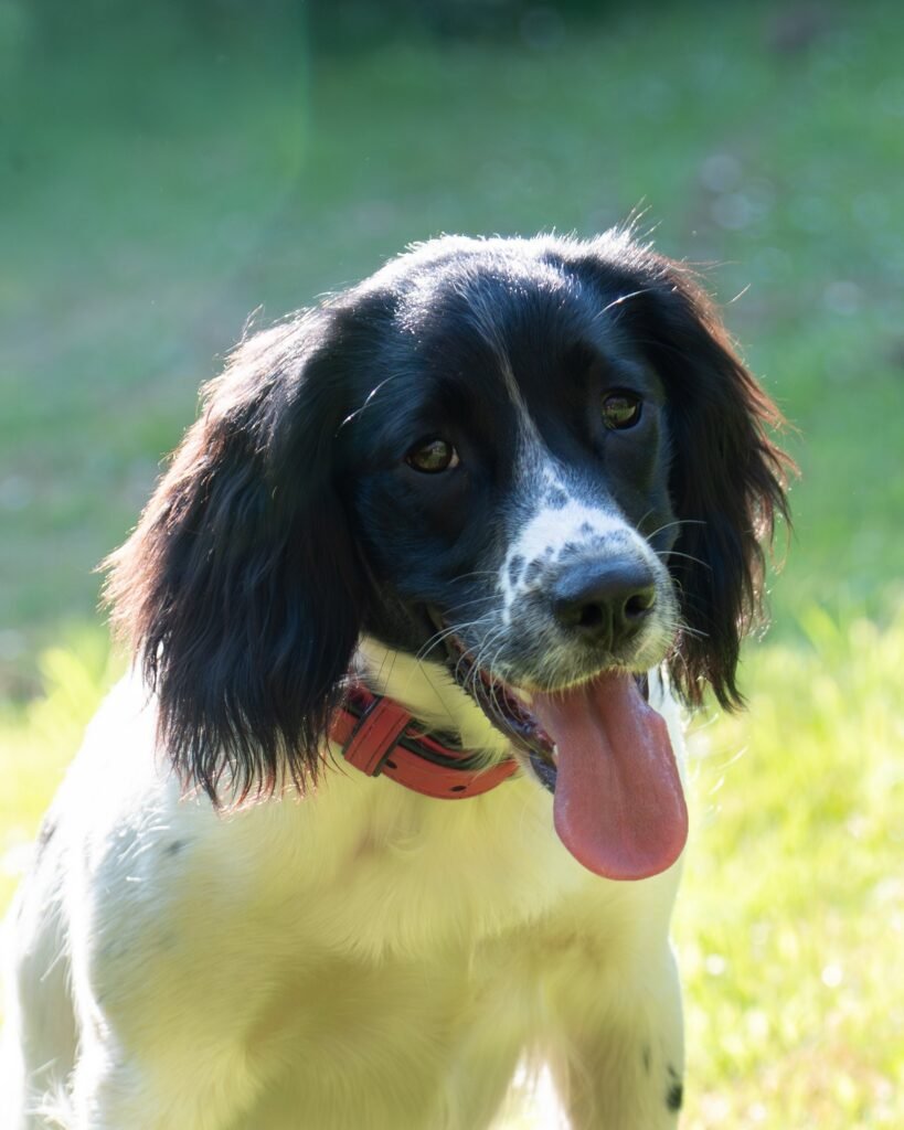 Ruby